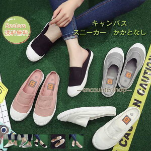 Xj[J[ fB[X tbgV[Y LoX ƂȂ JWA _炩 ɂ ₷ AEghA r ꂢ 