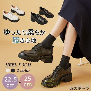 [t@[ w q fB[X ʊw ʋ wC wZ y pvX  ɂȂ ҂ݏグ ₷ 10203040 o w RXv f[g