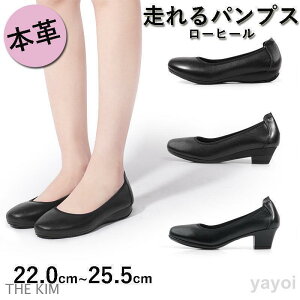 pvX [q[ {v ɂȂ ₷  V[Y fB[X b L O 傫TCY Ǝ w   ʋ ʊw