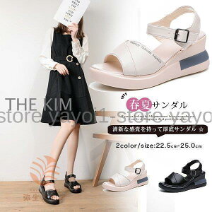 T_ i[XT_ r[`T_ EGbWT_ ItBXT_ Ȃ d ʋC fB[X ؂