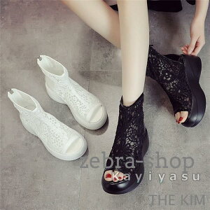 u[cT_  fB[X T}[u[c   C  O V[gu[c `[u[c r ₷ Ȃ