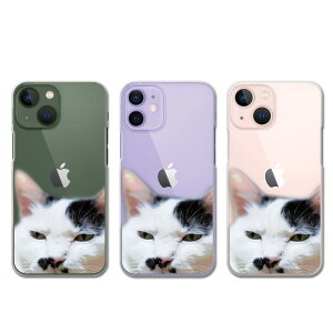iPhone12mini / iPhone13mini �P�[�X �N���A �A�C�t�H��12�~�j �A�C�t�H��13�~�j �A�C�z��12�~�j �A�C�z��13�~�j �X�}�z�P�[�X ���A���l�R �L �˂� �l�R ���킢�� �L�̊� �P�[�^�C�P�[�X �J�o�[ ���� �n