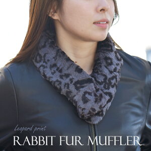 _{XP10{^}t[ A t@[ fB[X rbg Ip[h qE ^ O[ t { є h  Nbv H ~ y v[g Mtg v[g 