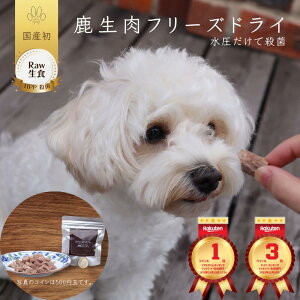 p H  t[YhC hbOt[h HPPE  L  Raw Rawfood ߂Ă̐H ̂ N Lg[c VjA  NIȌ̂ NIȔL̂ I[Kjb