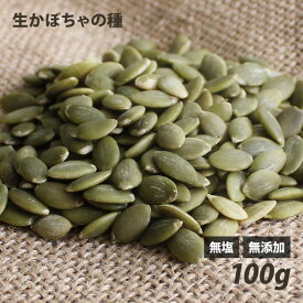 パンプキンシード（生・かぼちゃの種） 100g・250g・500g 無塩 無油 無添加 塩不使用 油不使用 食用 非常食 保存食 ローフード 酵素 ダイエット