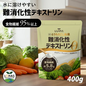 食物繊維 【 難消化性デキストリン 400g 】 非遺伝子組み換え デキストリン 水溶性食物繊維 無添加 微顆粒 粉末 こども パウダー ダイエット 糖質制限 コレステロール 血糖値 腸活 お通じ 便秘 便通 ロハス LOHAS