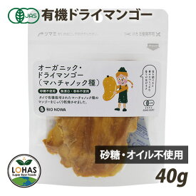 オーガニック ドライマンゴー 40g タイ産 有機JAS認証 無漂白 砂糖不使用 無添加 ローフード 酵素 ドライフルーツ BIONOWA ビオノワ ロハス LOHAS