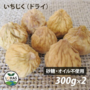 Y  iEhC^Cvj 100gE300gE600gi300gx2j sgp V 肪ƂhCt[c  nX LOHAS