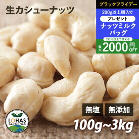 ＼ブラックフライデー限定20日20時〜プレゼント／ カシューナッツ 無添加 【生カシューナッツ 300g 1kg 】 無塩 無油 ダイエット ナッツ ローフード 食物繊維 鉄分 亜鉛 ビタミンB1 ミネラル タンパク質 添加物不使用 自然食 おやつ おつまみ 保存食 非常食 ロハス LOHAS