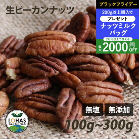 ＼ブラックフライデー限定20日20時～プレゼント／ ピーカンナッツ（生） 100g・300g 無塩 無油 無添加 ローフード 酵素 ダイエット ナッツ ヴィーガンナッツ ビーガン ロハス LOHAS
