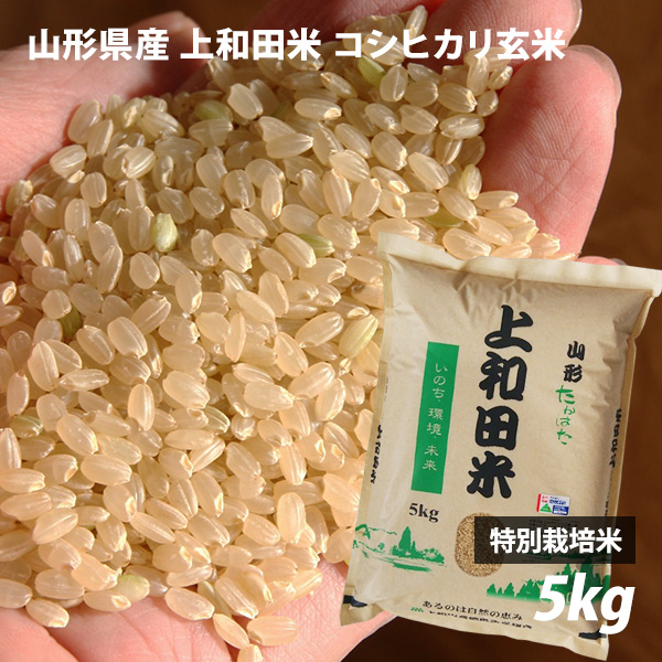 楽天市場】【令和5年産新米】山形県産 コシヒカリ玄米 5kg 特別栽培米