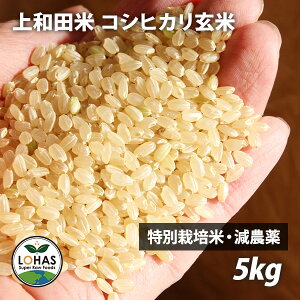 【令和7年産】山形県産 コシヒカリ玄米 5kg 特別栽培米 減農薬 上和田米 皇室献上農家 渡部京一さん作 特A 発芽ができる生きた玄米 お米 こめ コメ ロハス LOHAS