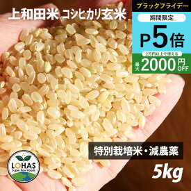 ＼ブラックフライデー限定20日20時〜ポイント5倍／ 【令和7年産】山形県産 コシヒカリ玄米 5kg 特別栽培米 減農薬 上和田米 皇室献上農家 渡部京一さん作 特A 発芽ができる生きた玄米 お米 こめ コメ ロハス LOHAS