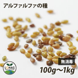 スプラウト アルファルファの種 100g・300g・900g・1kg 無消毒 非遺伝子組み換え シード スーパーフード サラダ タネ たね 種子 ロハス LOHAS