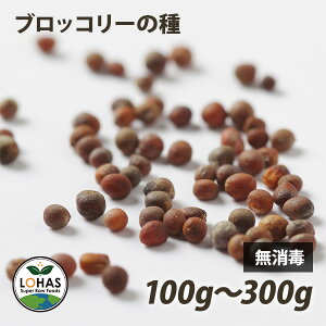 XvEg ubR[̎ 100gE300g  `qg݊ V[h X[p[t[h T_ ^l  q q nX LOHAS