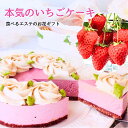 ヴィーガン グルテンフリー フラワー デコ いちごケーキ 5号（15cm）ダイエット 低カロリー 日付指定 対応 可能 苺 誕生日ケーキ プレゼント ローケーキ ロースイーツ 乳製品 卵 小麦粉 不使用 スイーツ 父の日 手土産 ギルトフリー ビーガン