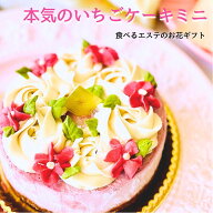 ヴィーガン グルテンフリー フラワー デコ いちごケーキ 4号（12cm）ダイエット 低カロリー 日付指定 対…