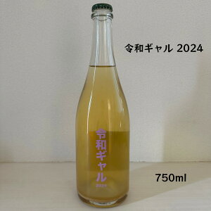 �y�N�[���ցz�y�����y�z�y���{���C���zno.505 Hiroshima Winery 505�q���V�}���C�i���[ �ߘa�M���� 2024 �� ���A �V���C���}�X�J�b�g�@���U���I�r�A���R�@�A���L�T���h���A ���{ 750ml 1�{