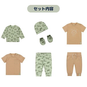 Dirkje fBLG {[CY EFA A\[g Zbg Xqt ZbgAbv u[cgbvX {gX t@bV Tt@ j̎q xr[ Ԃ xr[ 60 70 13 36