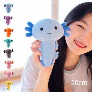  ʂ q C E[p[[p[   xbh ߋ ӂӂ  ̎q j̎q 킢 Mtg oYj  CeA