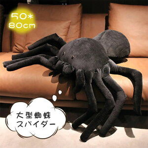 ʂ w XpC_[ nEB LbY q N ঒ A nEB HALLOWEEN NX}X a ǂ̓ v[g  傫TCY ^ Aj}   