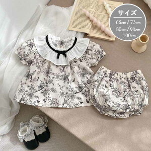 xr[ ㉺Zbg ZbgAbv LbY ̎q ԕ vg  q Vc  V[gpc ؍q ĕ  