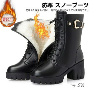  Xm[u[c N fB[X 8cmq[ g ӂӂ Ȃ u[c Xm[u[c  hC ~C AEghA ʊw 