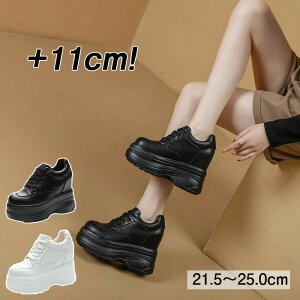  Xj[J[ 10cm gup Xb| fB[X Cq[Xj[J[ EH[LO q[Abv C V[Y _CGbgXj[J