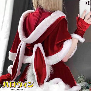 NX}X T^ }g  T^N[X |` l oj[K[ RXv P[v h | |` ԂP[v 