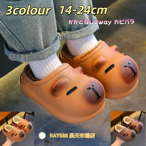 ~p T_ LbY {A N Xbp h qpT_ Xbp  [V[Y  ӂӂ  {AT_ EVA qǂ ǂXbp C V[Y 