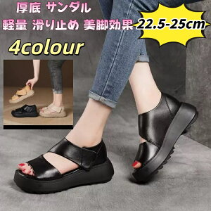  T_ fB[X ₷  5cm O ItBXT_ Ȃ T_ fB[X ʋC vbgtH[T