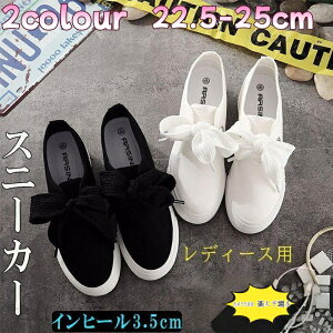 fB[X Xj[J[ {  ɂ LoX [XAbv [Jbg ɂ ɂ ɂȂ  q C