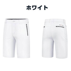 Stpc n[tpc Y V[gpc Y{  Lkǂ n X Xg[gpc rWlX St IV ʋC   StY{ ̓