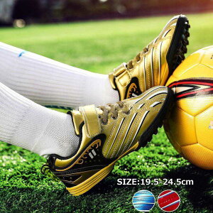 TbJ[ g[jOV[Y TbJ[ gV[ WjA LbY XpCNV[Y TbJ[V[Y Xj[J[ ^C X|[c