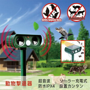 L悯 g g悯 ފ ފ \[[Aj}ubJ[ bQ΍ \[[[d ԊOZT[ h \[[