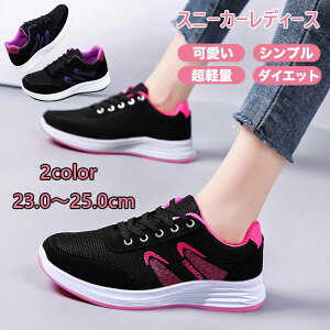 Xj[J[ fB[X jOV[Y EH[LOV[Y bhp[v L WjA AEghA y  ~ O