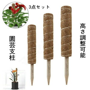 3_Zbg | x  Ax K[f  Ԃ A  ؐ RRibc x K[