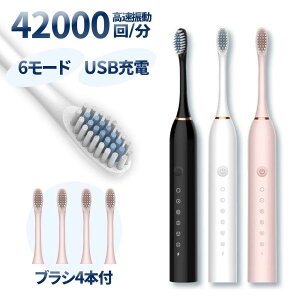 �d�����u���V X3�V���[�Y 6���[�h �ւ��u���V4�{ USB�[�d �����U�� 42000��/�� �É� �h�� IPX7 �z���C�g �s���N �u���b�N