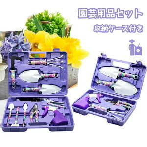 |pi 10_Zbg 5_Zbg K[fjOc[ K[fjOZbg  nT~  XR