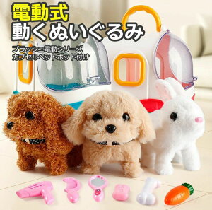 ʂ {bgd dr [vC ꏏ U   t ybgZbg