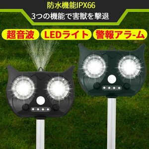 L悯 g 2Zbg Aj}K[fBAII L ŋ L悯΍ L΍ L΍ObY Qb