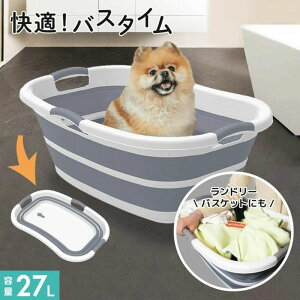 ybg oX^u ܂肽ݎ h[ ̂C  ybgpoX^u ܂ ܂肽 肽  oXPbg  