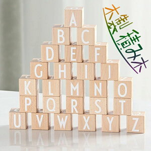 iPadX}[gP[X iPad P[X 360°]P[X y Cz ϏՌ ipad2020/2021/2022Pro ipad mini