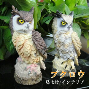 tNE 悯 悯 ΍ {  hhb΍ h 悯ObY u I[ig  fBXvC  N