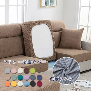 \t@[ʃJo[ \t@[Jo[ 1/2l| Xgb` ҂ Sʕی tBbg Lk Lїǂ _炩 h~ G肢