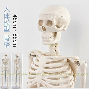 �l�̖͌^ ���i�͌^ �� ��45cm ��85cm �W���X�^���h�t�� ���i�W�{ ���i���f�� �S�g���i�͌^ ���� �� ��w ���w ��U�w ���� �����@ ��