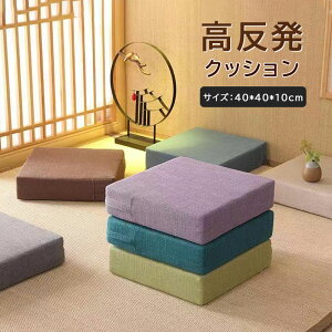 �N�b�V���� ���z�c 40×40×10 ����� �t���A�N�b�V���� �l�p ���� �N�b�V���� �傫�� �� �k�� ������ �C