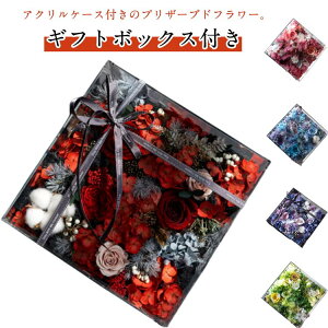 AW Mtg ANP[X t[ vU[uht[ Mtg o {bNXt[ IV vU[uht[ JXj