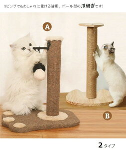 �L���b�g�^���[ �L�̂߂Ƃ� �L���b�g�^���[ �L�^���[ �u���^ �l�R �V�ѓ��� ����炵 ������� �ؓo��^���[ �V���O�� �^���[ �X�g��