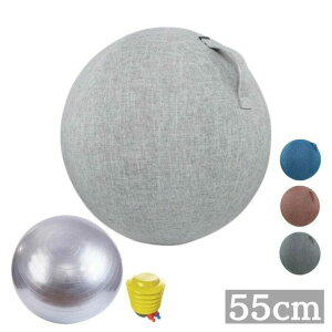 ���K�{�[�� �o�����X�{�[�� 55cm �J�o�[ �t�� �Z�b�g ���邾�� ���� �֎q ����